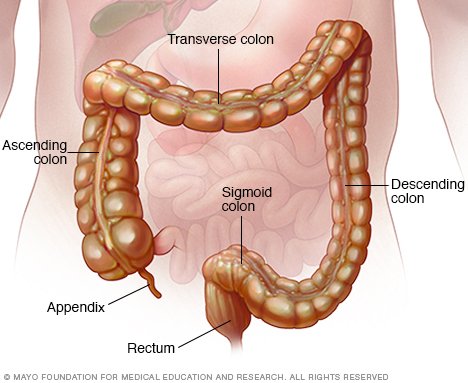 good ulcerative for colitis is tramadol